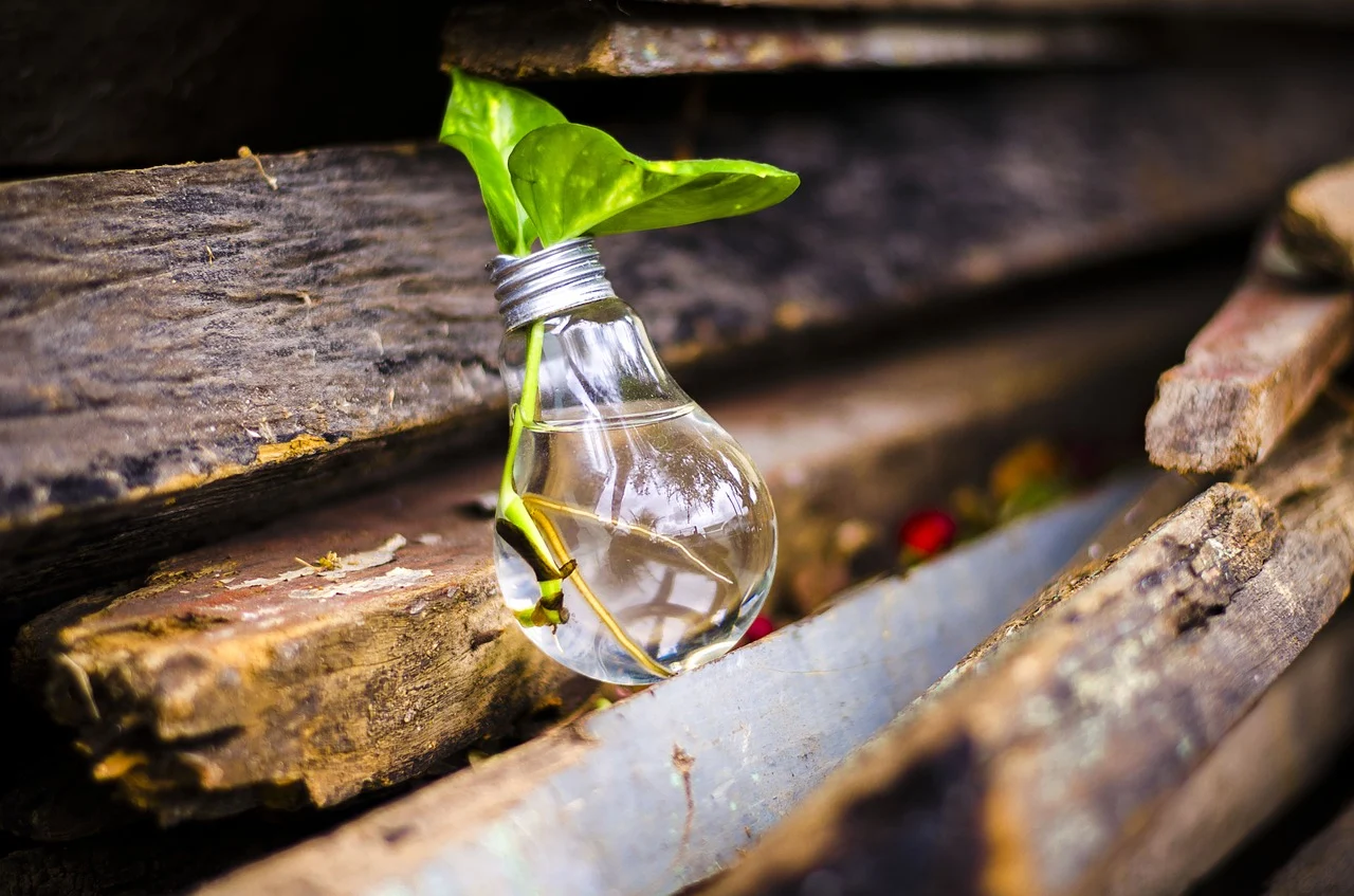 Protéger l'environnement : gestes simples et efficaces